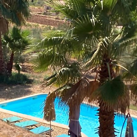 La Venturonne Appartement Neuf Rez De Jardin 45 M2 Vue Mer Et Vignes 10 Mn Des Plages Le Beausset Eksteriør billede