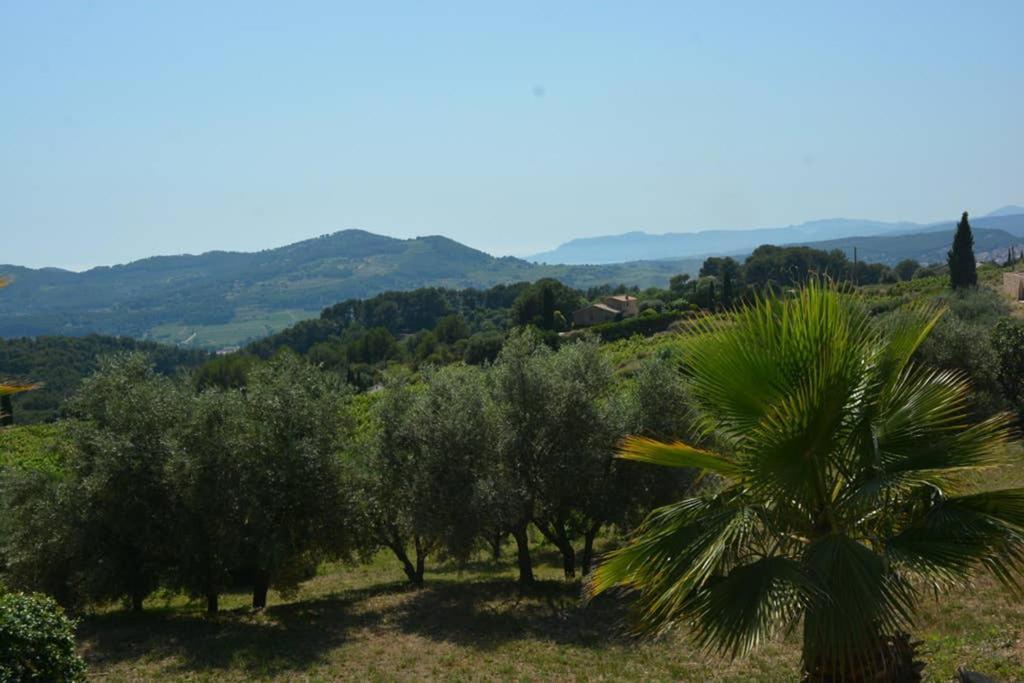 La Venturonne Appartement Neuf Rez De Jardin 45 M2 Vue Mer Et Vignes 10 Mn Des Plages Le Beausset Eksteriør billede