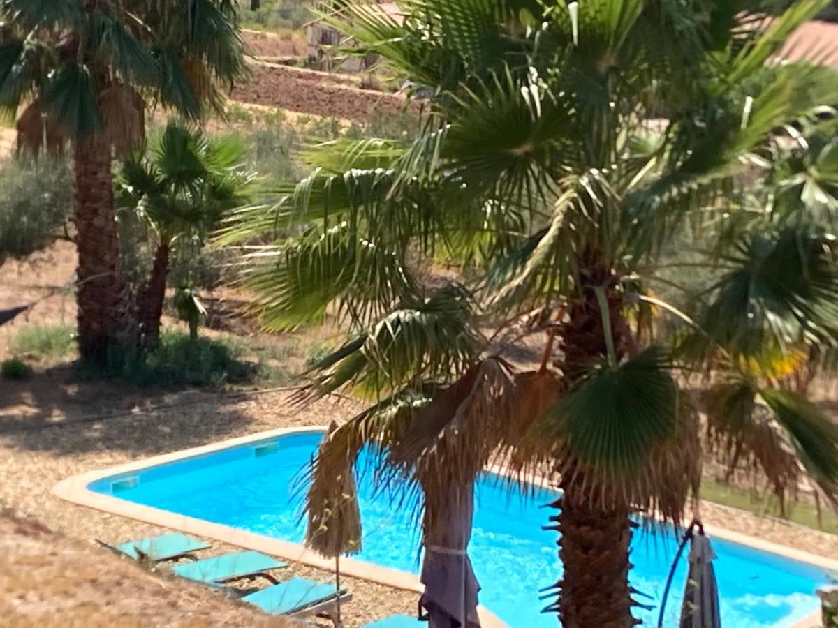 La Venturonne Appartement Neuf Rez De Jardin 45 M2 Vue Mer Et Vignes 10 Mn Des Plages Le Beausset Eksteriør billede